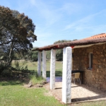 Patio 2